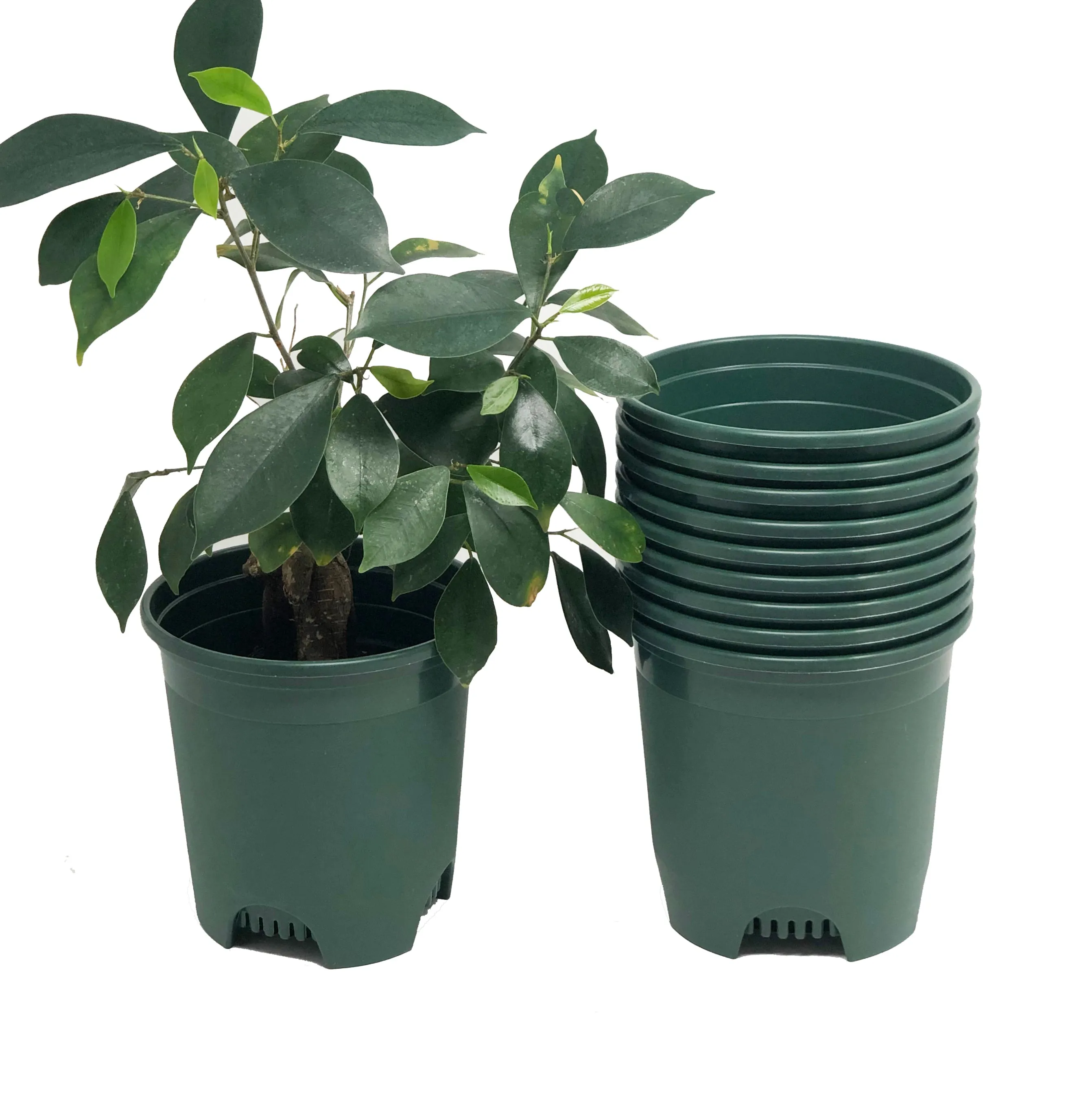 0.5 Gallon Nursery Pot Plastic Planters for Outdoor Indoor Plants Color Green