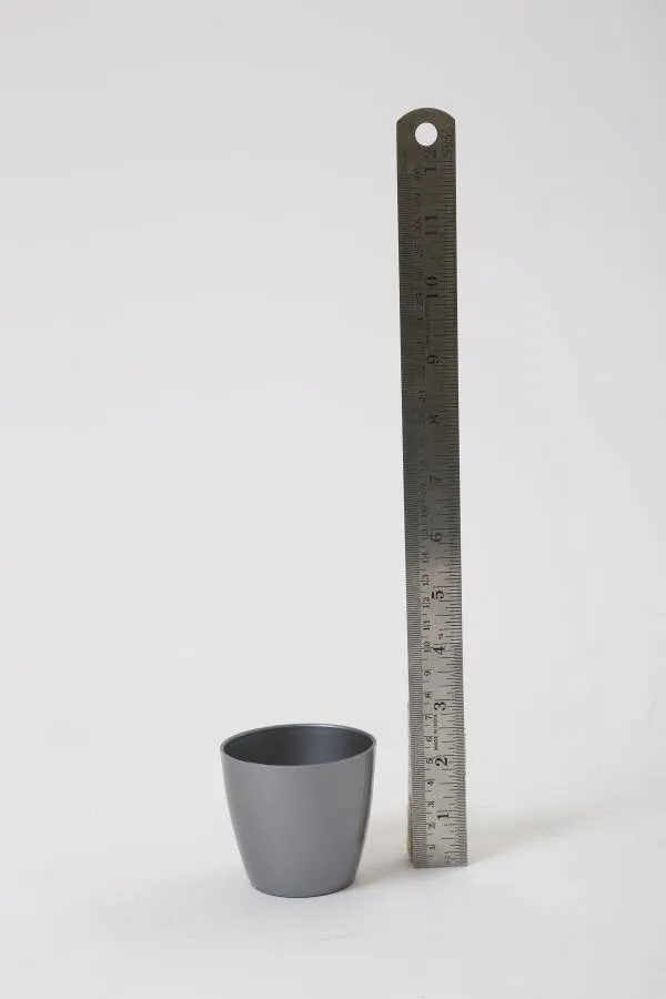 2.5 Inch Gray Singapore Pot (67mm)