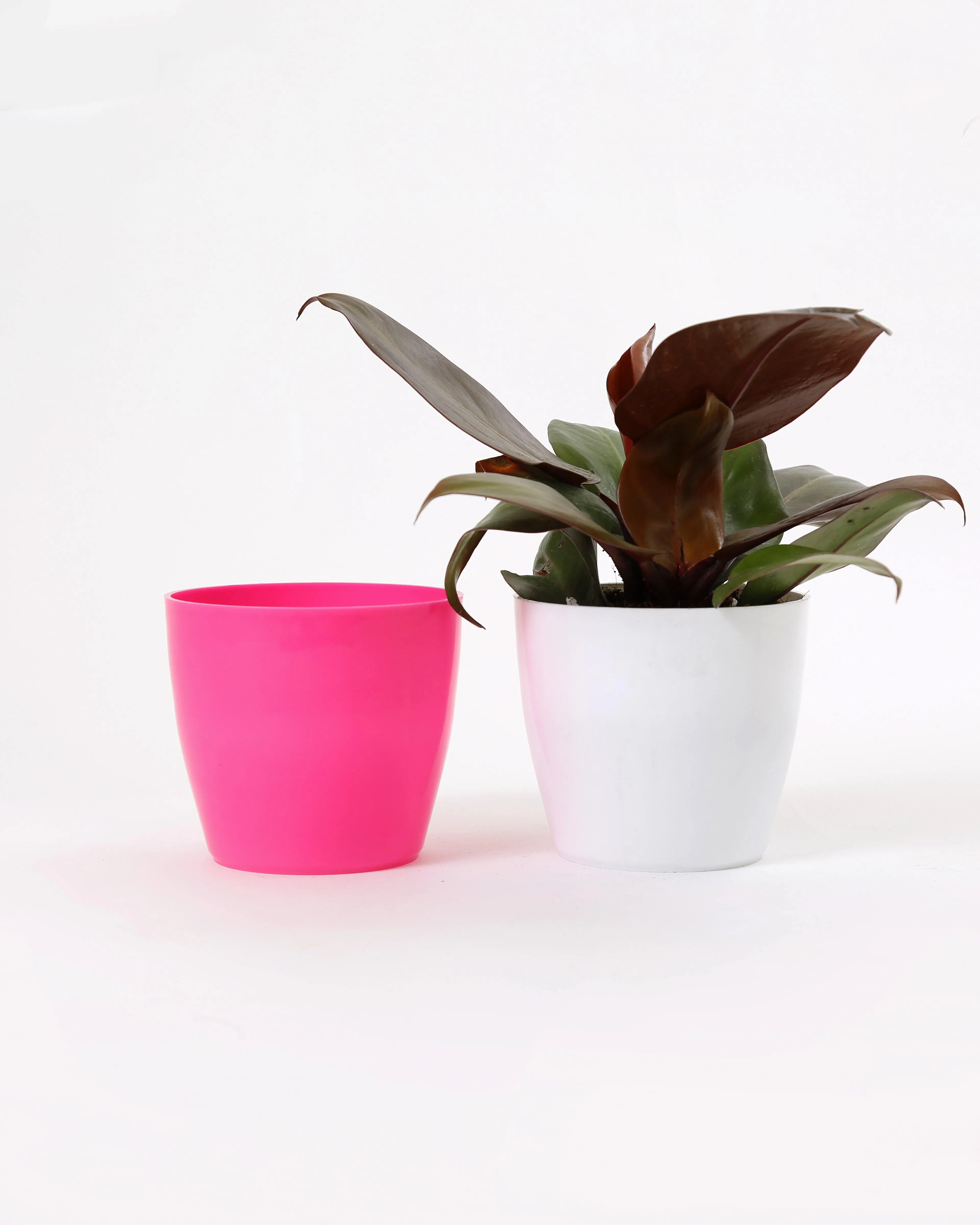 4 Inch Pink Singapore Pot (105mm)