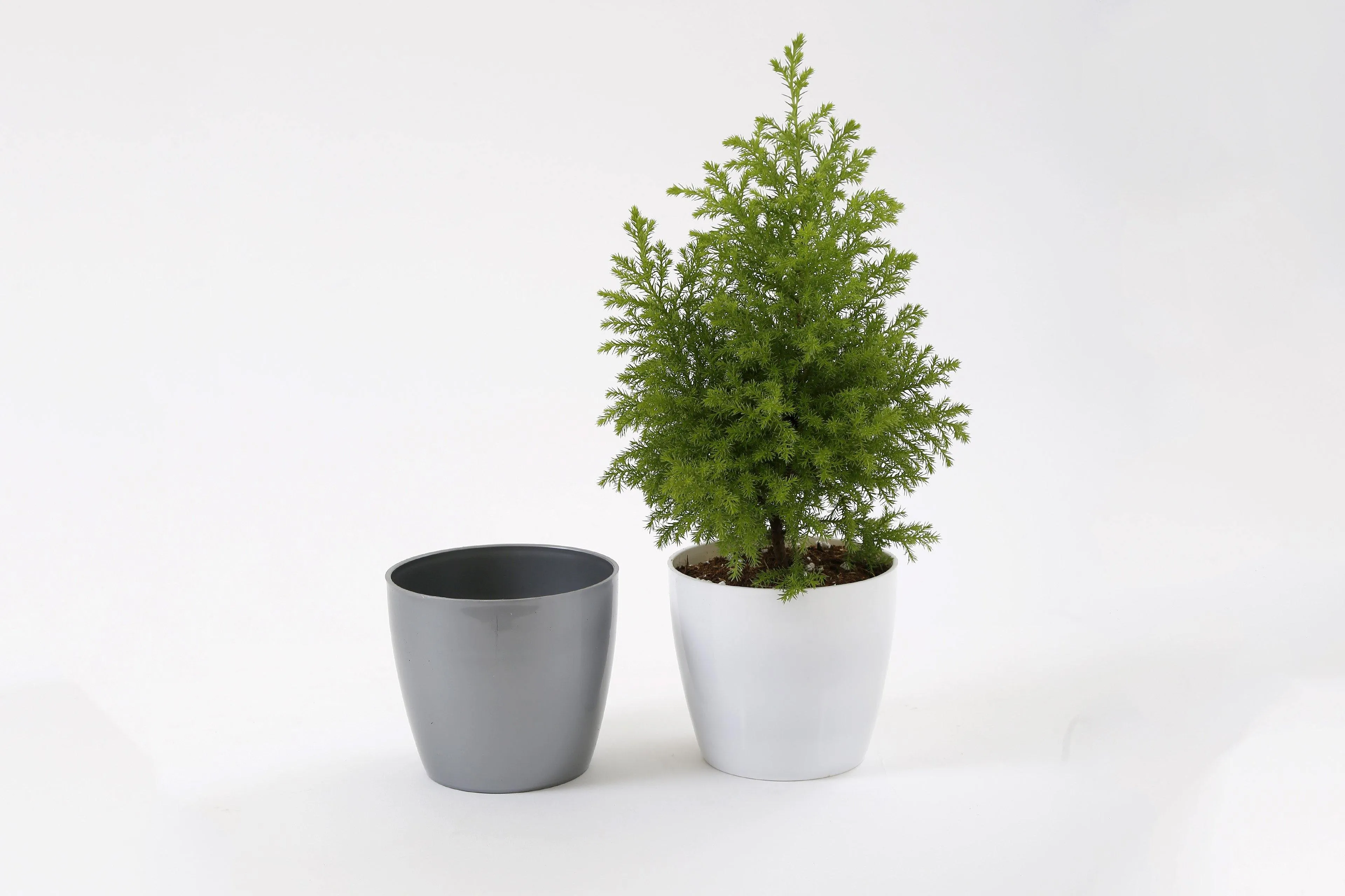 5 Inch Gray Singapore Pot (125mm)