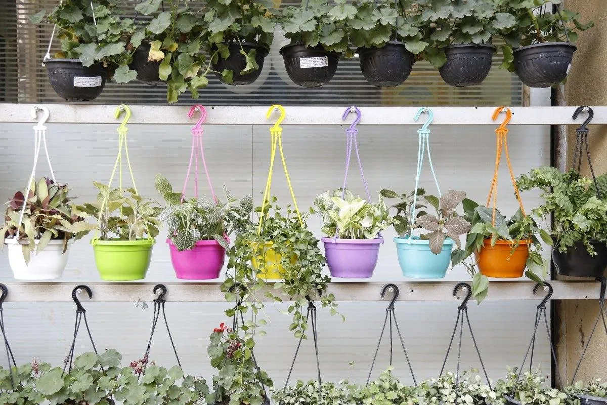 7 Inch Hanging Pot Multi (Pack of 6)