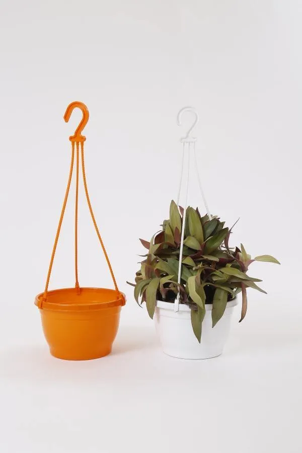 7 Inch Hanging Pot Orange