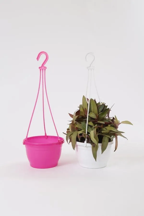 7 Inch Hanging Pot Pink