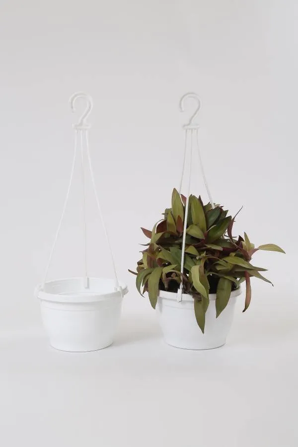 7 Inch Hanging Pot White