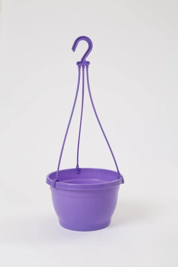 8 Inch Hanging Pot Violet