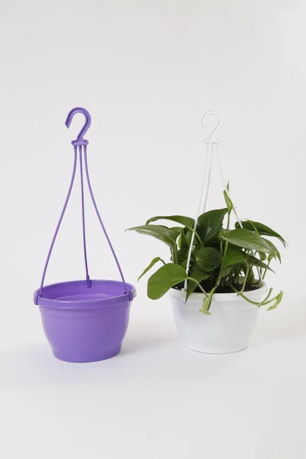 8 Inch Hanging Pot Violet