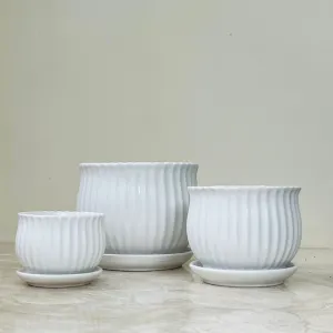 Classic Ripple Ceramic Pot Collection (Set Of 3)