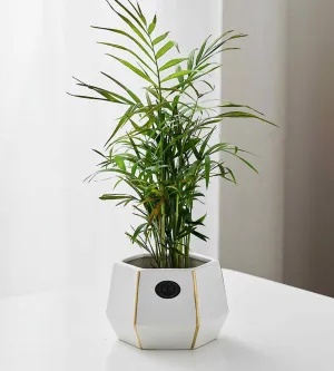 Elegant White and Gold Ceramic Planter – Geometric Flower Vase