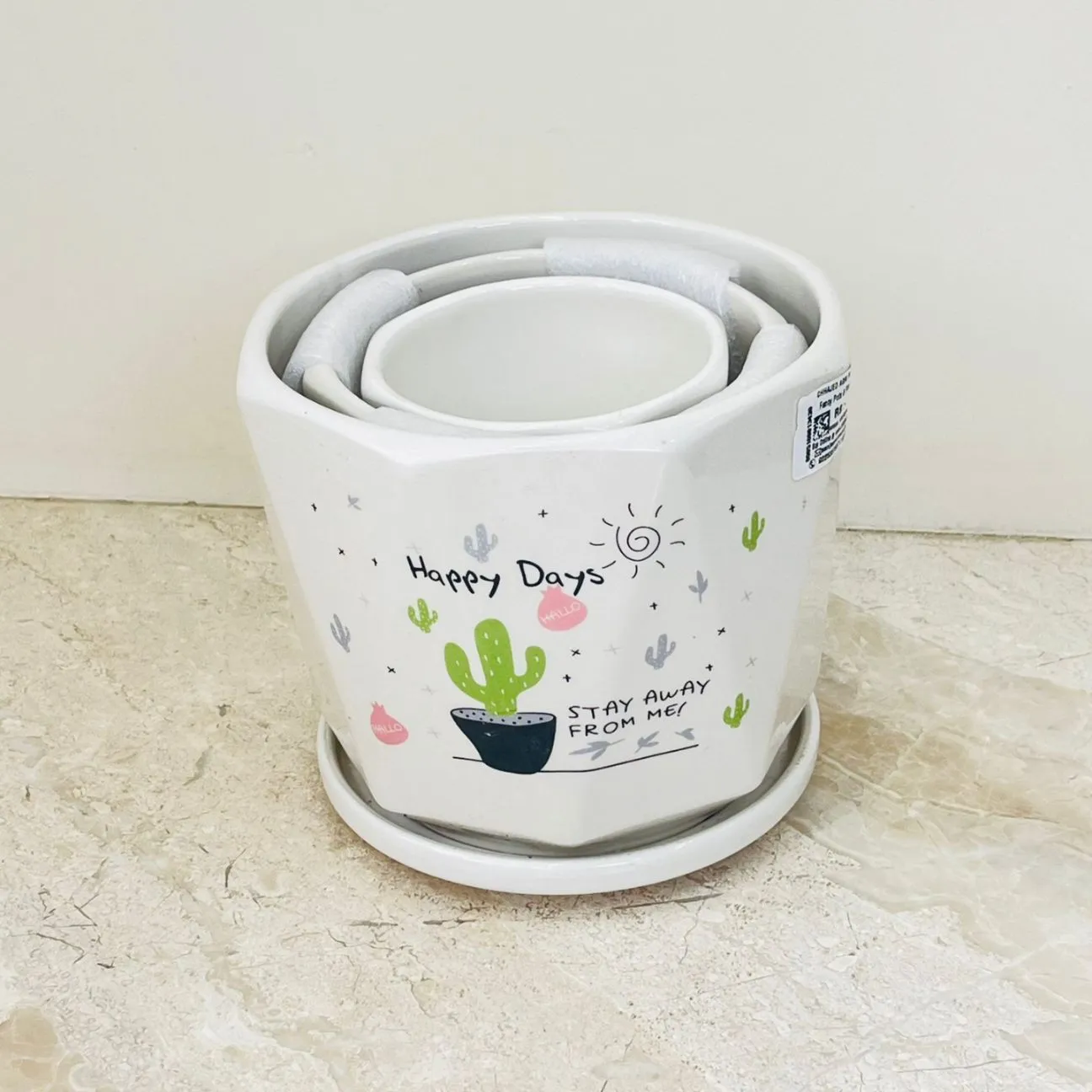 Happy Days Cactus Ceramic Planter Set Of 3