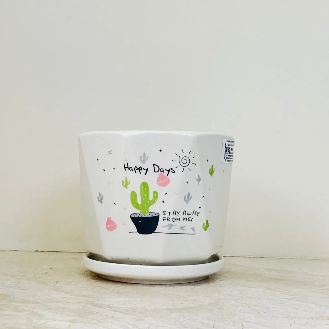 Happy Days Cactus Ceramic Planter Set Of 3