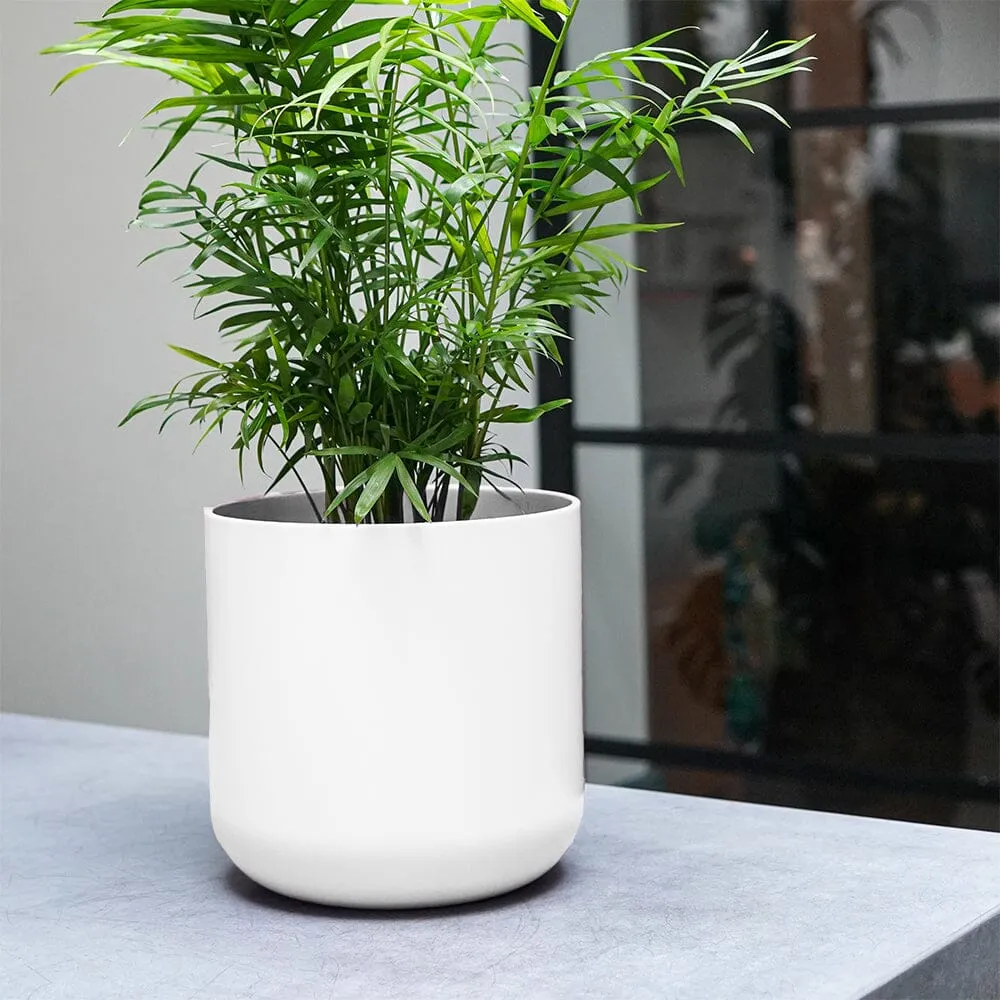 Lisbon Indoor Ceramic White  20.5cm Pot