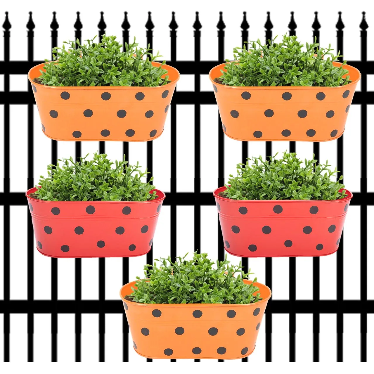 Oval Polka Dot Balcony Railing Planter