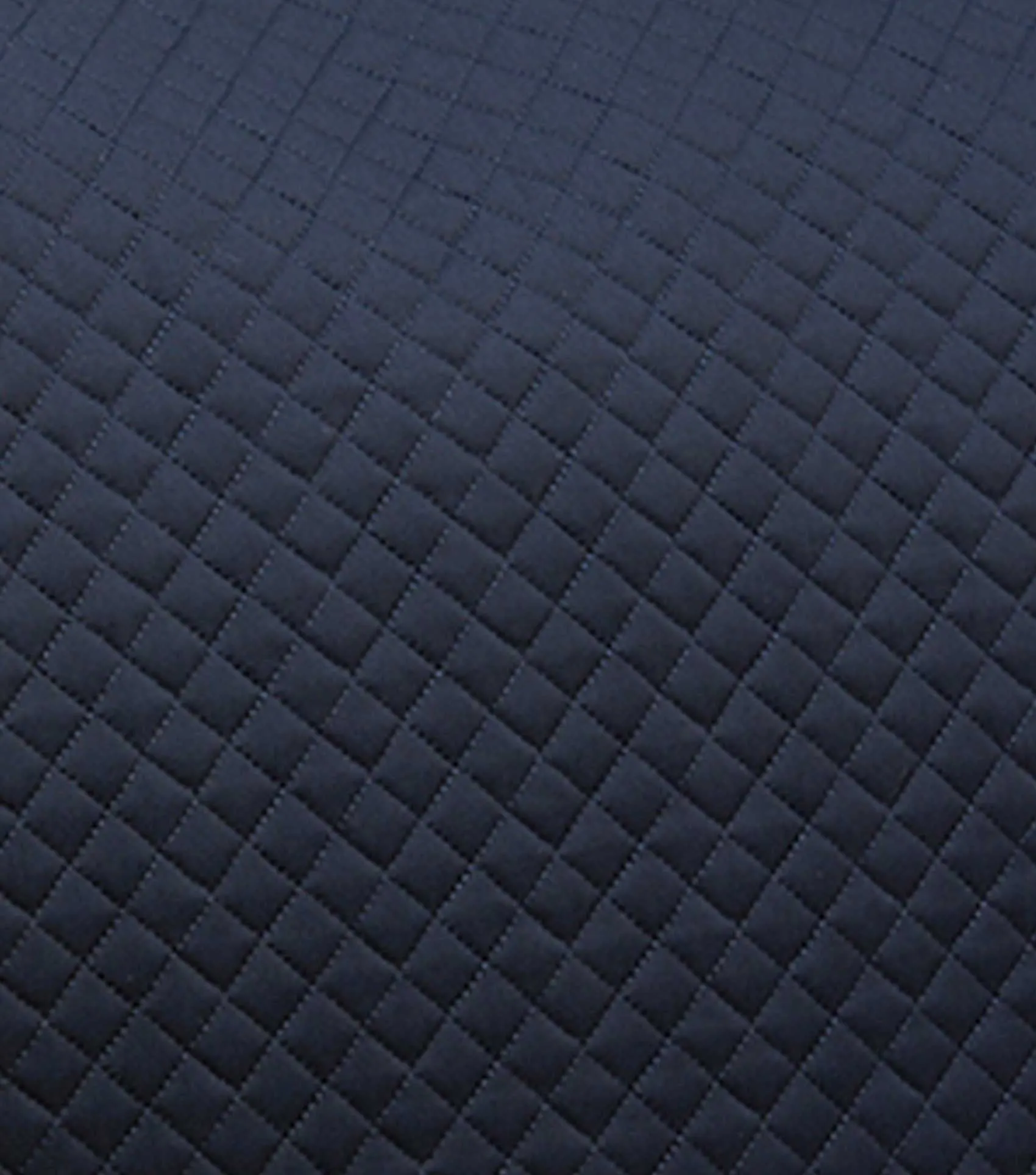 Pony Plain Cotton Dressage Square Navy