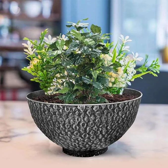 SG Traders Cathay Bowl Plant Pot (Set of 2)