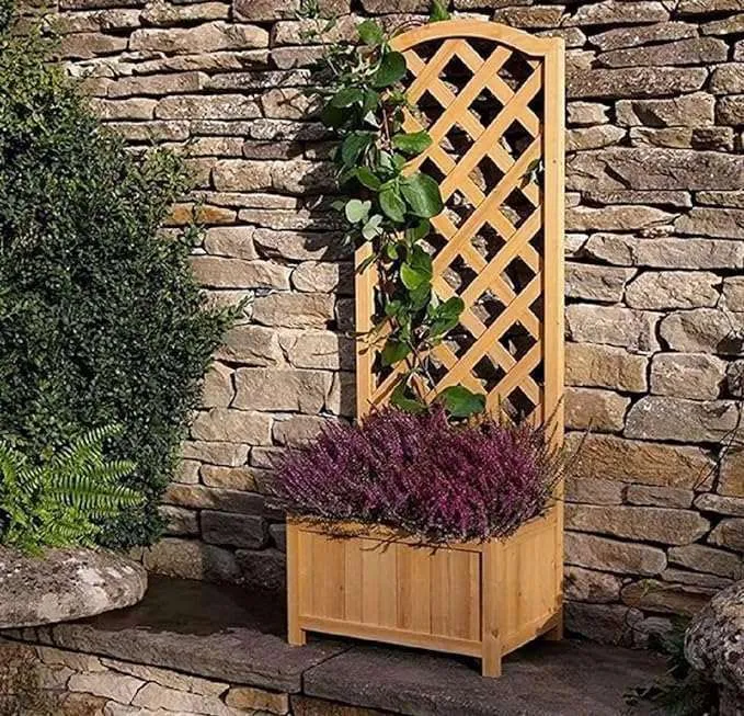 SG Traders Rectangular Wooden Planter With Lattice