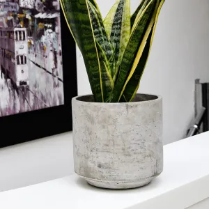 Tivoli Cement Indoor Ceramic 16cm Pot