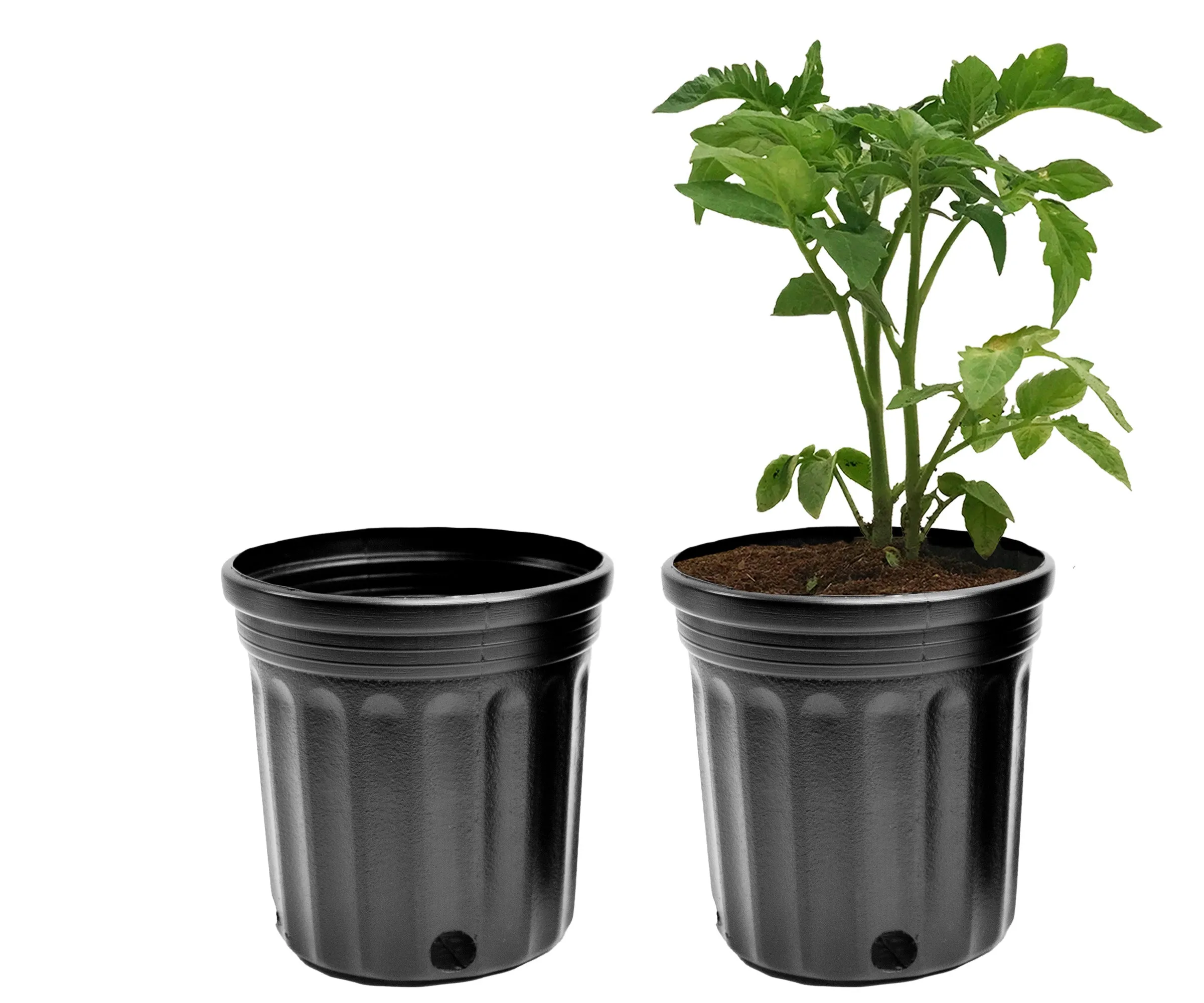 Viagrow 1/2 Gallon Nursery Pot (EA)