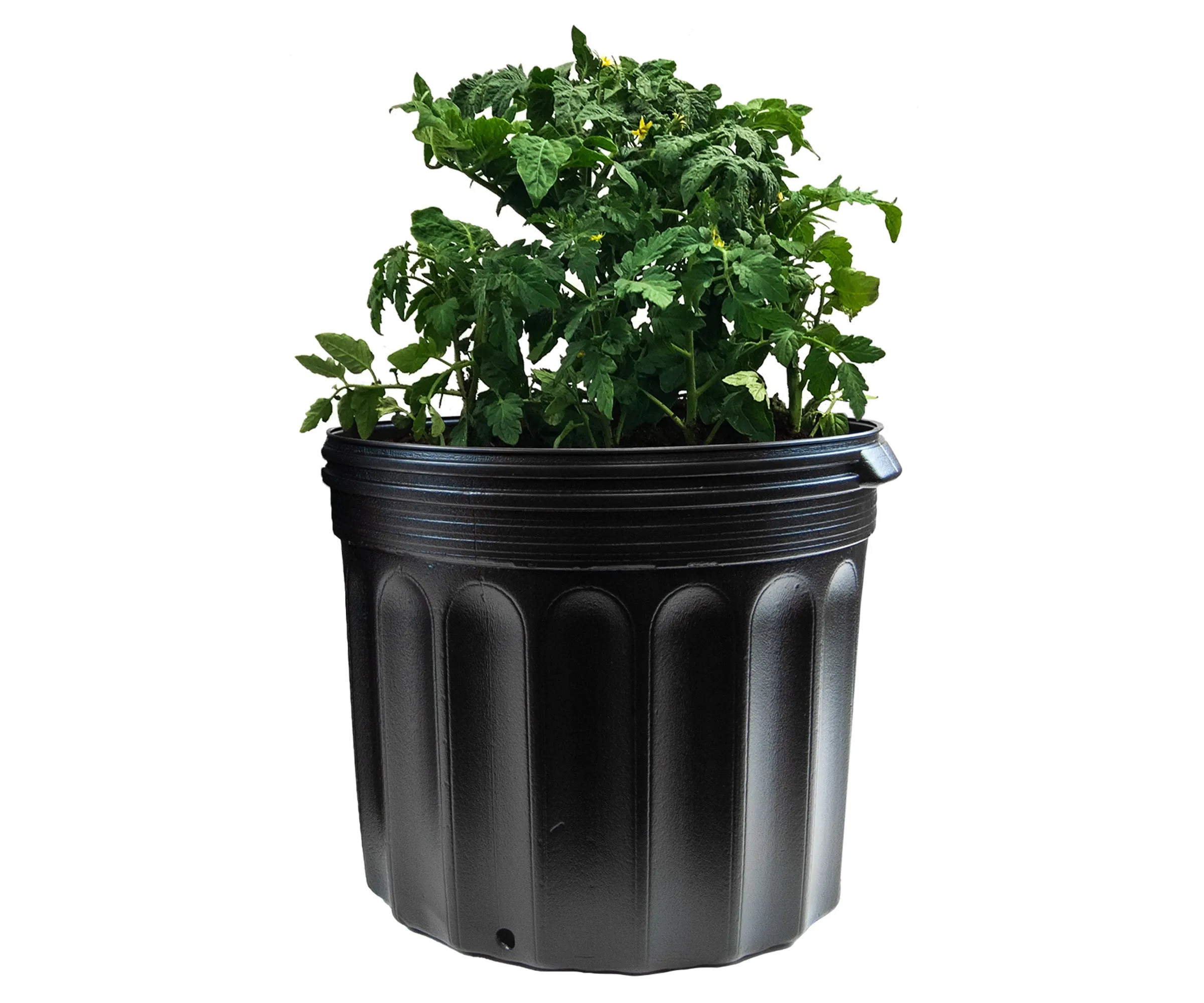 Viagrow 7 Gallon Nursery Pot